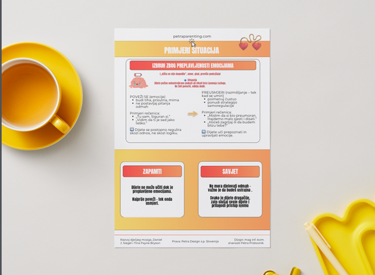 Ravoj dječjeg mozga - Strategije